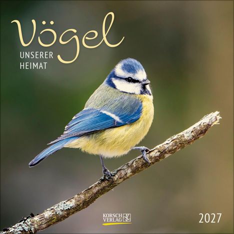"Vögel unserer Heimat 2027." Ein kleiner, bunter Vogel sitzt auf einem Ast.