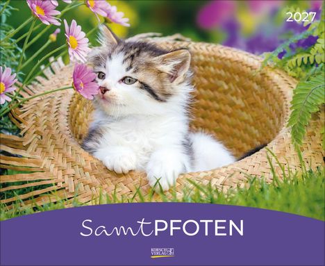 Text: "2027", "SamtPFOTEN". Ein Kätzchen sitzt in einem Strohhut, umgeben von Blumen und grünem Gras.