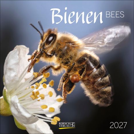 Texte: "Bienen BEES", "2027". Eine Nahaufnahme einer Biene auf einer weißen Blüte.