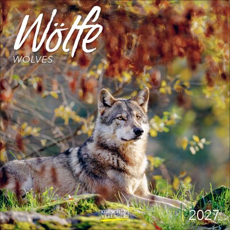 "Wölfe 2027." Ein Wolf liegt im grasbewachsenen Wald, umgeben von herbstlichem Laub.