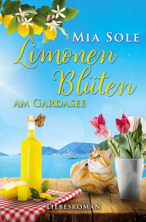 Cover/Produkt Ansicht vergrößern