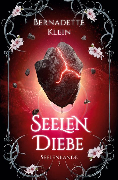 Bernadette Klein: Seelendiebe, Buch