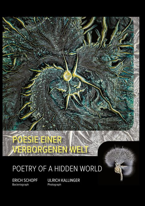 "Poesie einer verborgenen Welt" und "Poetry of a Hidden World". Organische Strukturen mit leuchtendem Zentrum.