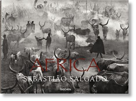 Sebastiao Salgado: Couto, M: Sebastião Salgado. Africa, Buch
