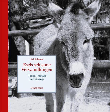 Ulrich Meier: Esels seltsame Verwandlungen, Buch