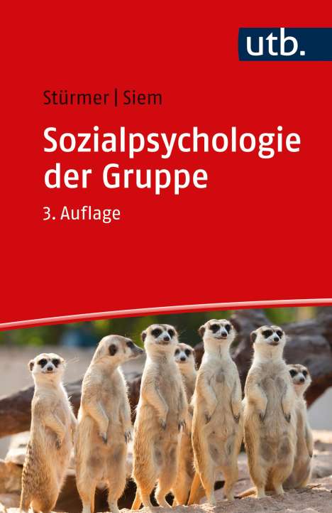 Stefan Stürmer: Sozialpsychologie der Gruppe, Buch