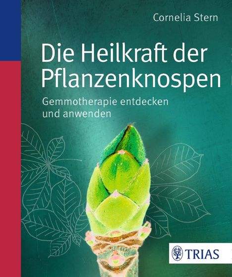 Cornelia Stern: Stern, C: Heilkraft der Pflanzenknospen, Buch