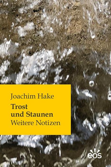Joachim Hake: Hake, J: Trost und Staunen, Buch