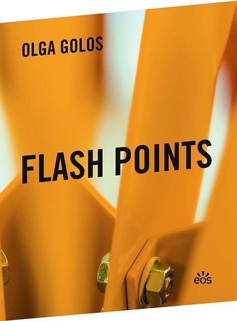 Olga Golos: Golos, O: Flash Points, Buch