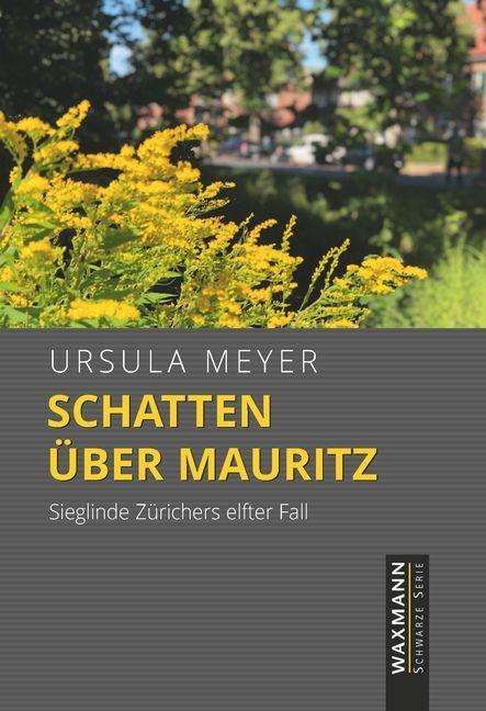 Ursula Meyer: Schatten über Mauritz, Buch