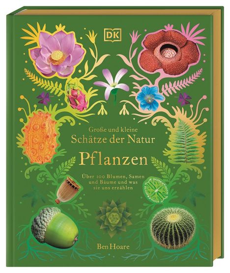 Ben Hoare: Große und kleine Schätze der Natur. Pflanzen, Buch