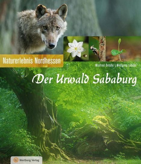 Manfred Delpho: Der Urwald Sababurg, Buch