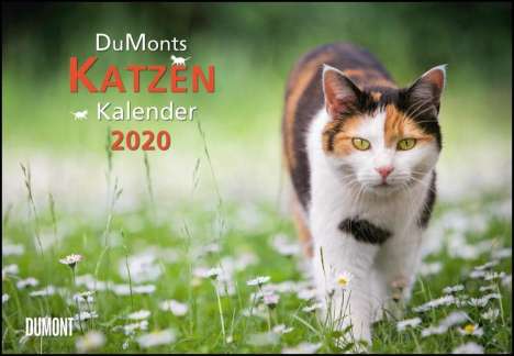 DuMonts Katzen-Kalender 2020, Diverse