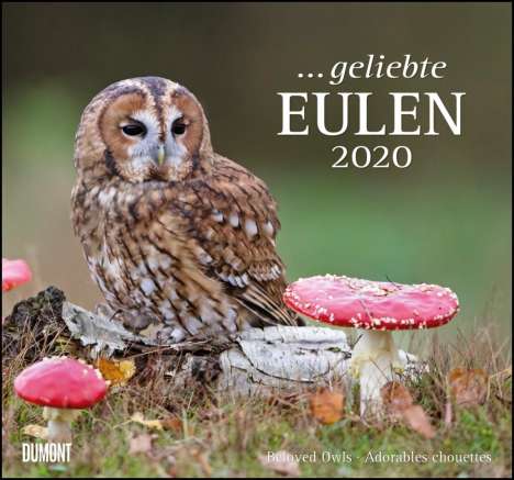 Geliebte Eulen 2020 - DuMont Wandkalender, Diverse