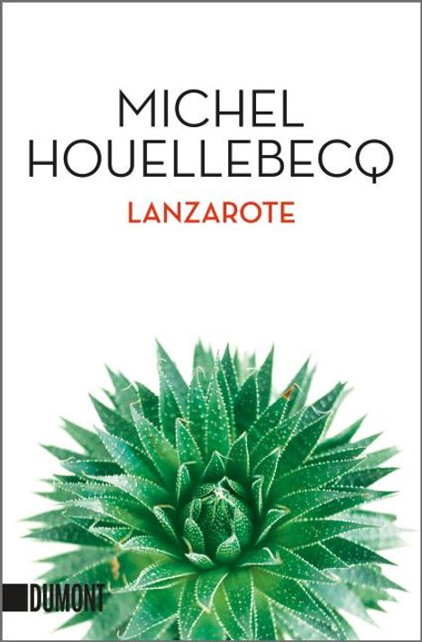 Michel Houellebecq: Lanzarote, Buch