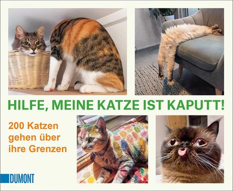 Hilfe, meine Katze ist kaputt, Buch