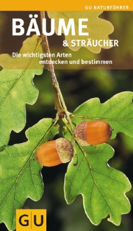 Helga Hofmann: Hofmann, H: Bäume und Sträucher, Buch