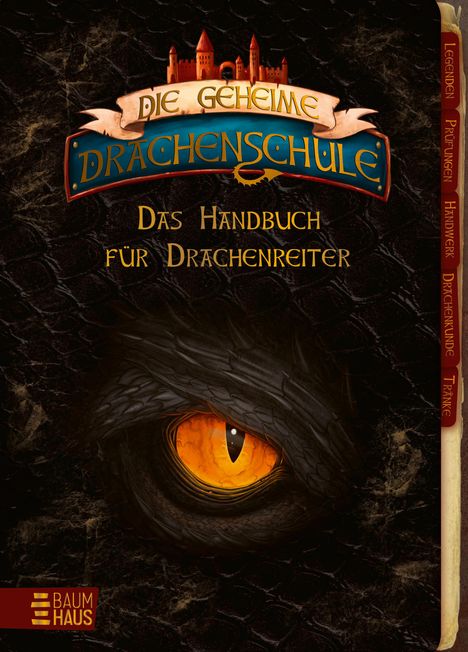 Emily Skye: Die geheime Drachenschule - Das Handbuch für Drachenreiter, Buch