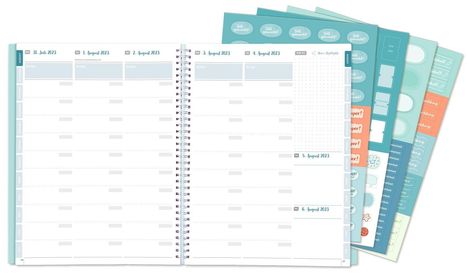 Redaktionsteam Verlag an der Ruhr: Mein Lehrerplaner A4+, Ringbindung – Blumenwiese – Lehrerkalender für das Schuljahr 2023/2024, Kalender