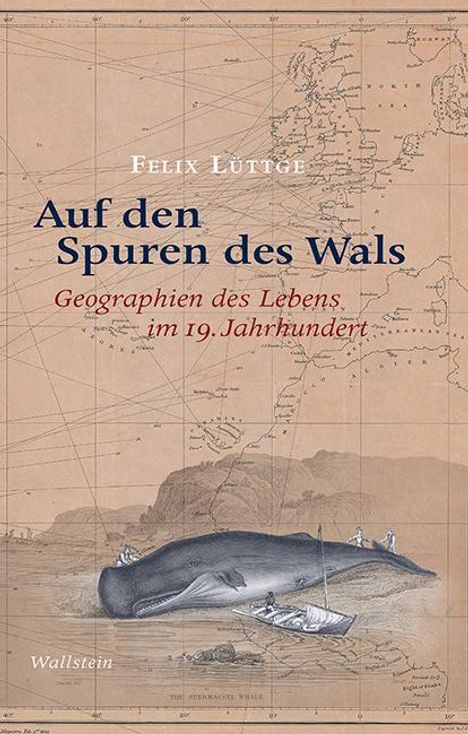 Felix Lüttge: Lüttge, F: Auf den Spuren des Wals, Buch