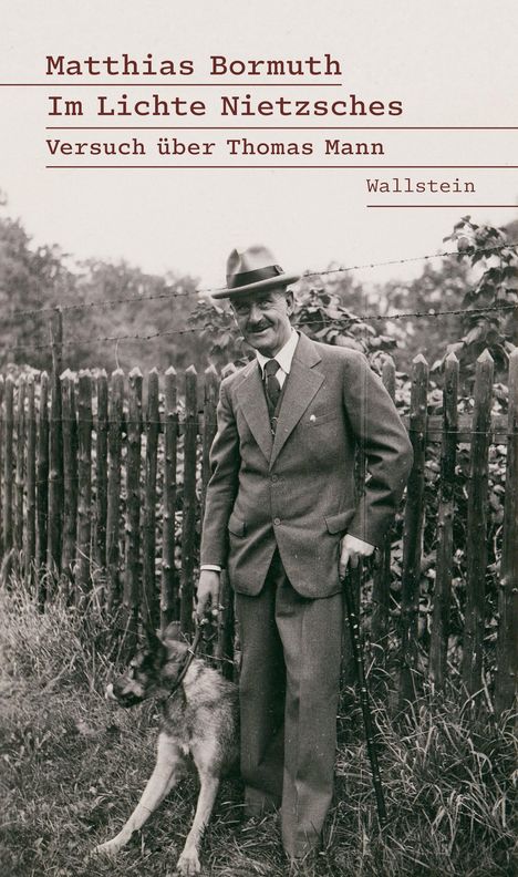 Matthias Bormuth: Im Lichte Nietzsches, Buch