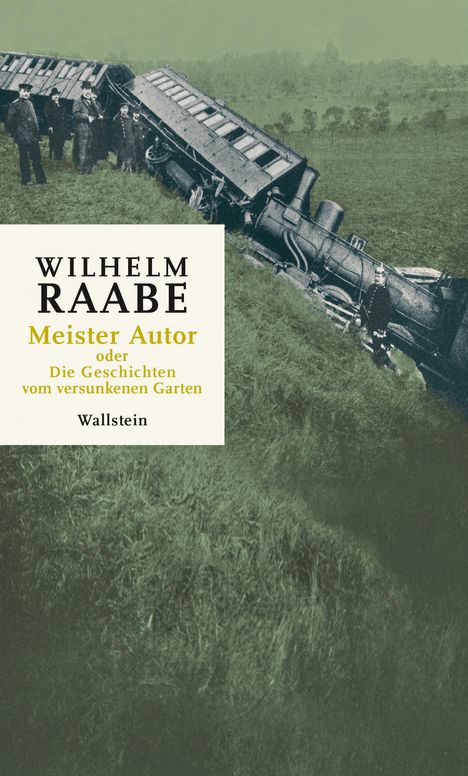 Wilhelm Raabe: Meister Autor, Buch