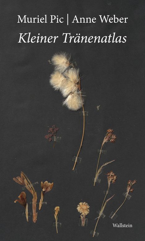 Text: Muriel Pic, Anne Weber, Kleiner Tränenatlas, Wallstein. 
Verschiedene gepresste Pflanzen auf schwarzem Hintergrund.