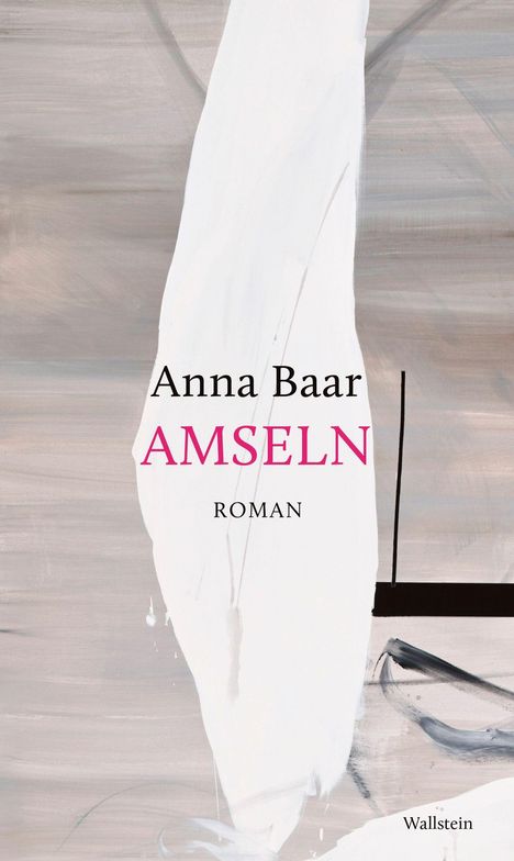 "Anna Baar AMSELN ROMAN" steht auf einem abstrakten Hintergrund in hellen Farben mit schwarzem Balken unten.