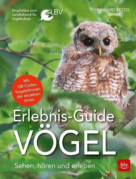 Einhard Bezzel: Bezzel, E: Erlebnis-Guide Vögel, Buch