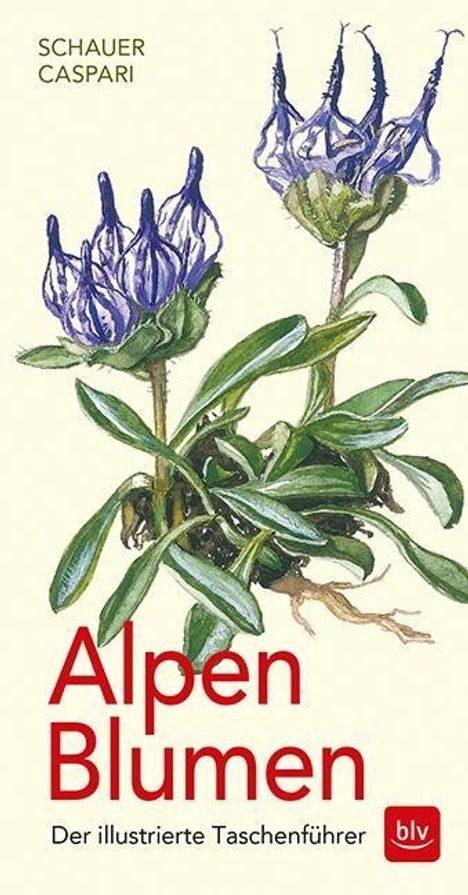 Thomas Schauer: Schauer, T: Alpen-Blumen, Buch