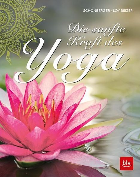 Stephanie Schönberger: Die sanfte Kraft des Yoga, Buch