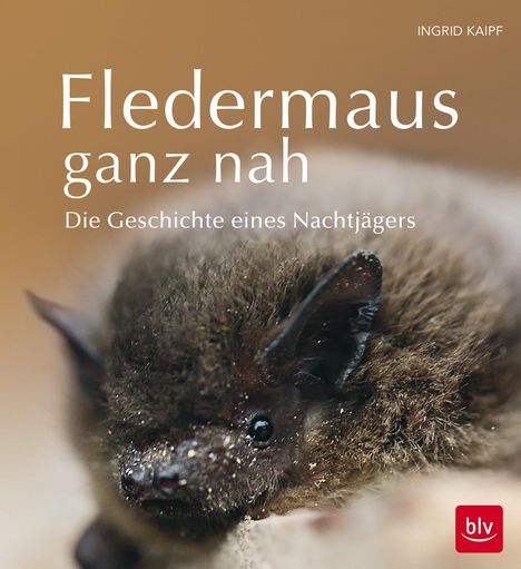 Ingrid Kaipf: Fledermaus ganz nah, Buch