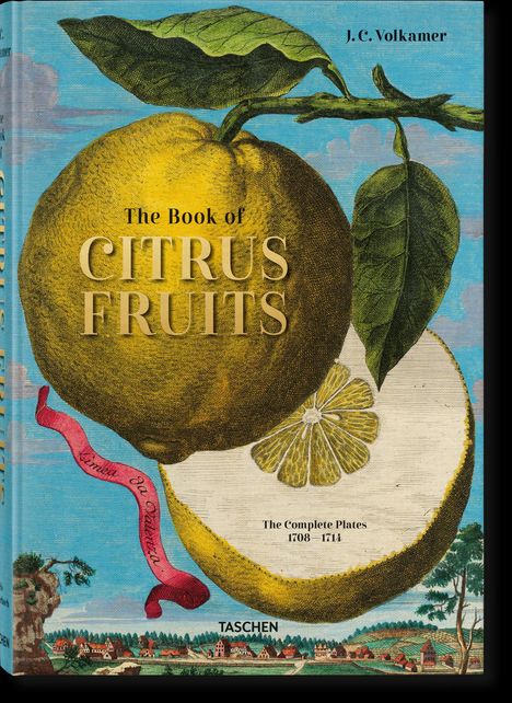 Iris Lauterbach: J. C. Volkamer. The Book of Citrus Fruits, Buch