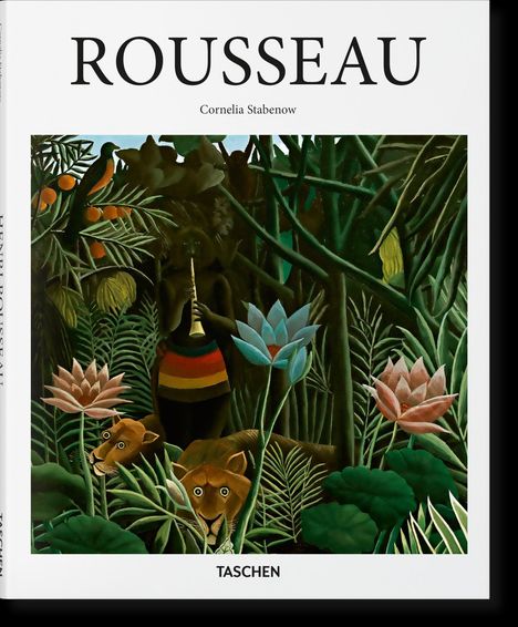 Cornelia Stabenow: Rousseau, Buch