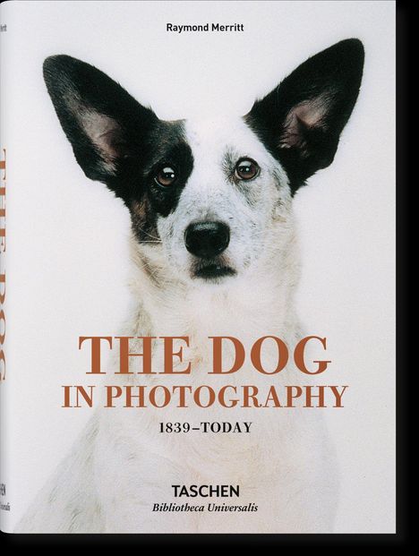 Ein Buchcover mit einem Hund. Text: "THE DOG IN PHOTOGRAPHY 1839–TODAY". Oben steht "Raymond Merritt." Darunter: "TASCHEN".