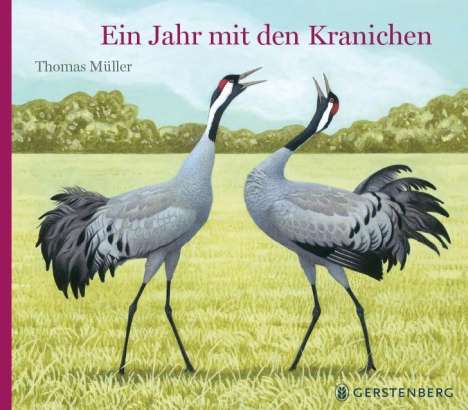 Thomas Müller: Ein Jahr mit den Kranichen, Buch