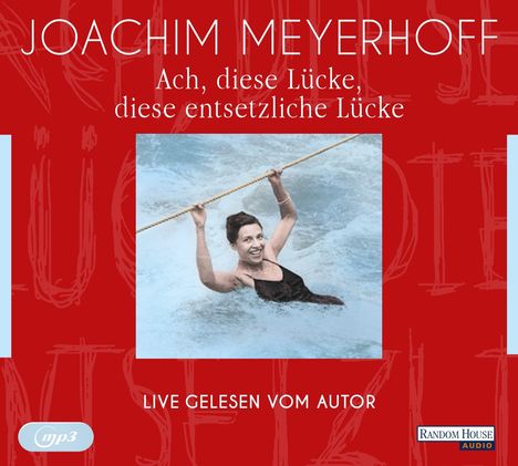 Joachim Meyerhoff: Meyerhoff, J: Ach, diese Lücke, diese entsetzliche Lücke. Li, Diverse