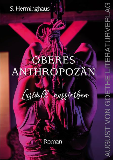 Stephan Herminghaus: Oberes Anthropozän, Buch