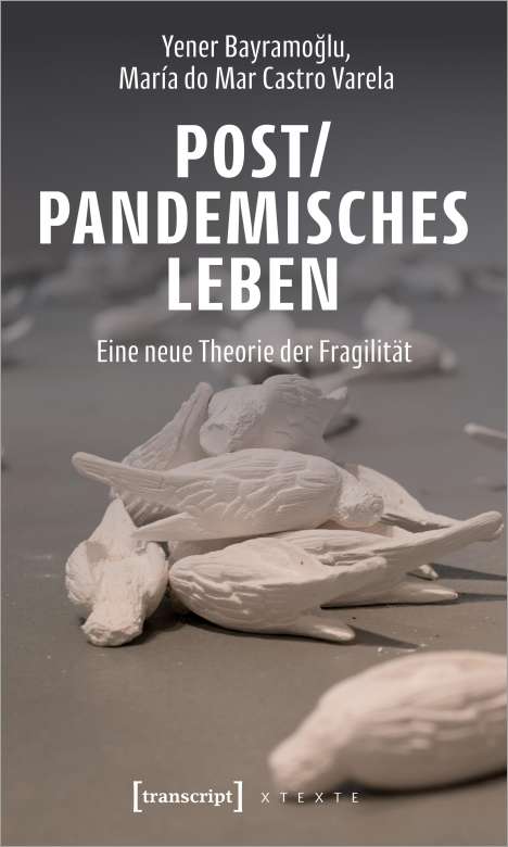 Yener Bayramoglu: Post/pandemisches Leben, Buch