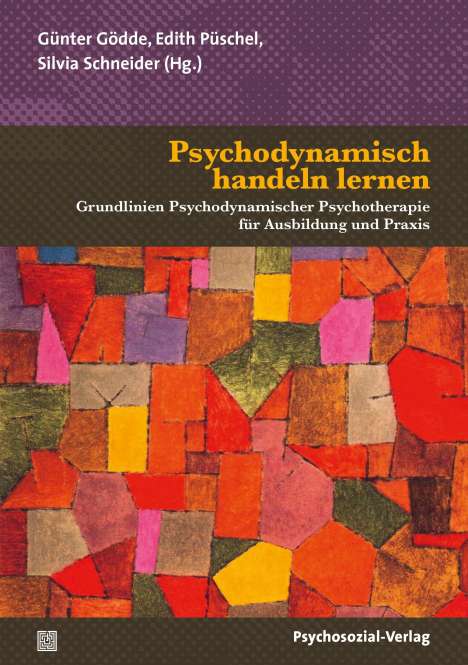 Psychodynamisch handeln lernen, Buch