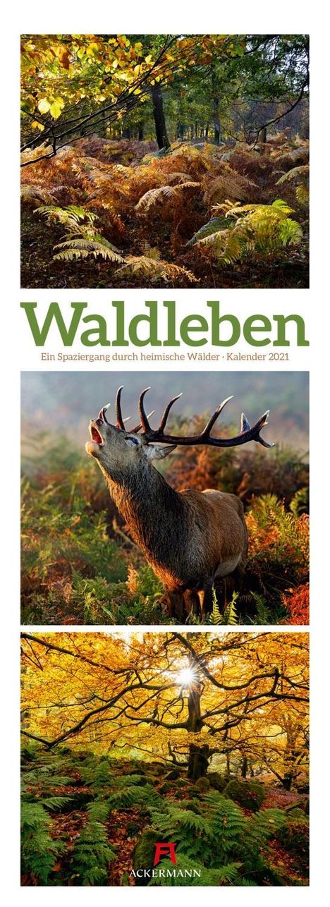 Waldleben 2021, Kalender