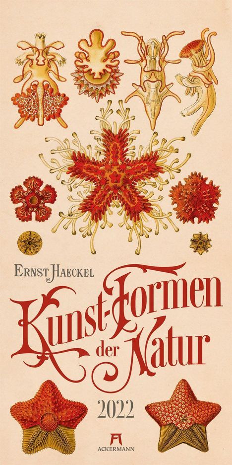 Ernst Haeckel: Kunst-Formen der Natur - Ernst Haeckel Kalender, Kalender