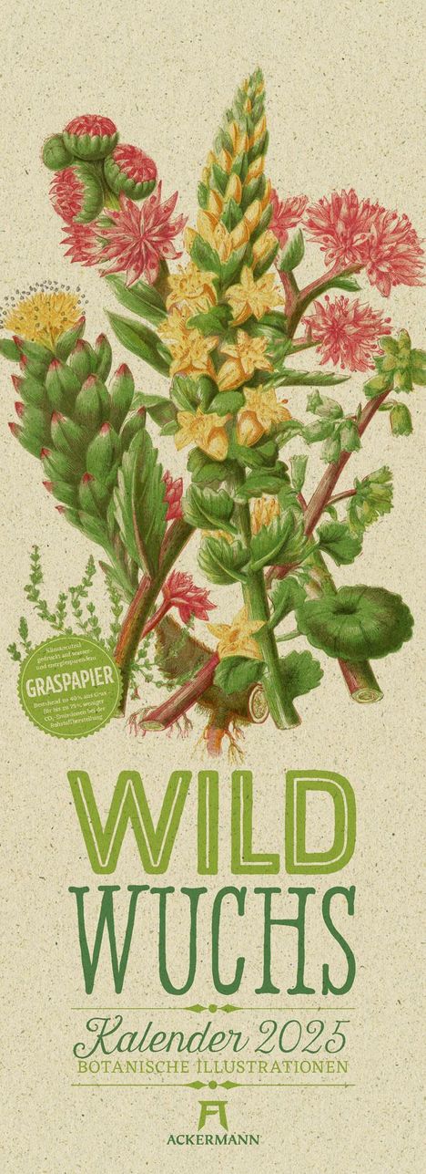 Anne Pratt: Wildwuchs - Botanische Illustrationen - Graspapier-Kalender 2025, Kalender