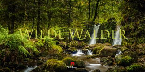 Ackermann Kunstverlag: Wilde Wälder Kalender 2025, Kalender