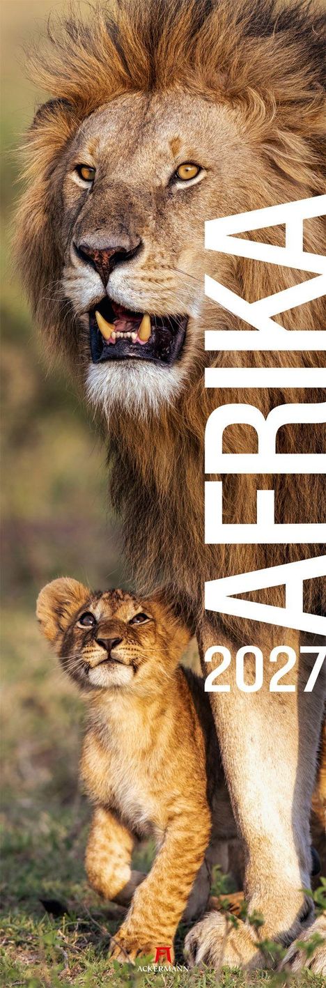 "AFRIKA 2027" steht in großer weißer Schrift. Ein Löwe und ein junges Löwenjunges schauen in die Ferne.