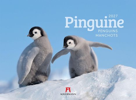 Text: "Pinguine 2027, Penguins, Manchots." Zwei Pinguinküken auf Schnee, blauer Himmel, kleine rote grafische Darstellung.