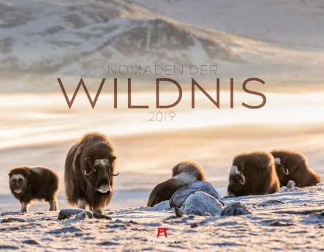 Nomaden der Wildnis 2019, Diverse