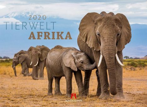 Tierwelt Afrika 2020, Diverse