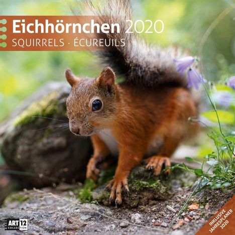 Eichhörnchen 2020 Broschürenkalender, Diverse