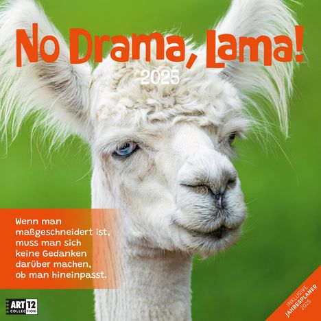 Ackermann Kunstverlag: No Drama, Lama! Kalender 2025 - 30x30, Kalender